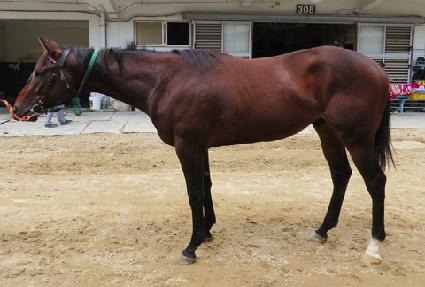 Ŭ������μ� ����