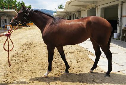 �������� ����