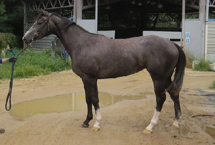 �󸮸�� ����