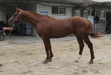 �߹��� ����