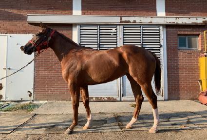 �ΰ�̼� ����