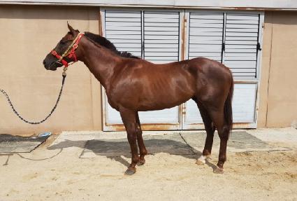 ��ġ��Ÿ�� ����