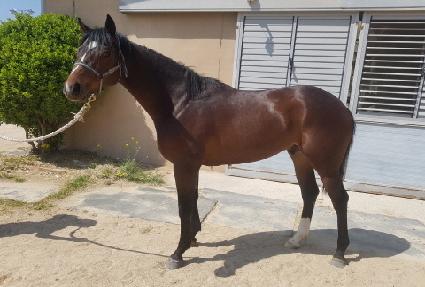 ��ĭ�� ����