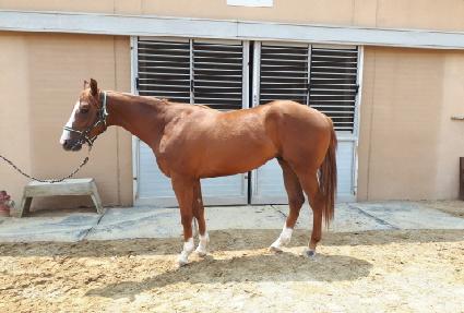 �Ƶ�Ŭ���� ����