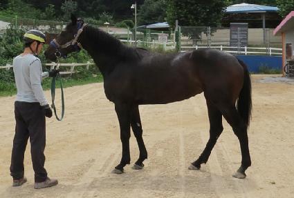 õ������ ����