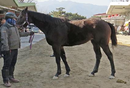 �÷���¸� ����