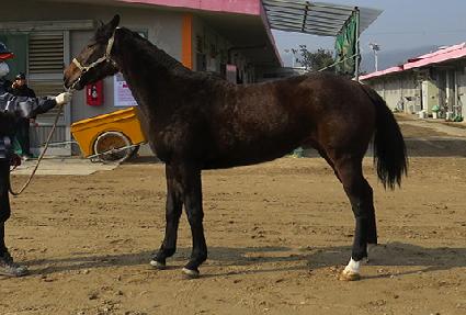 ��°��� ����