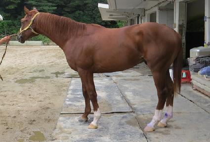 ����Ʈ ����