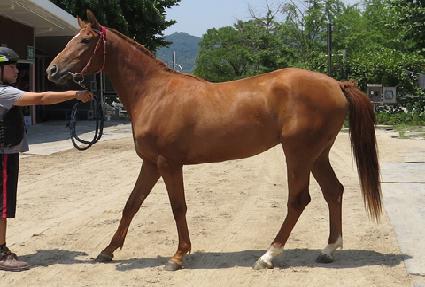 �ƶ�Ϲ�� ����