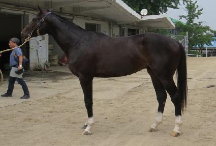 �������̽� ����