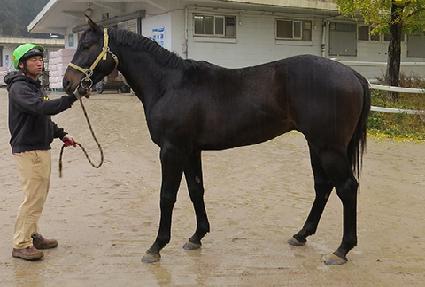 �������Ʈ�� ����