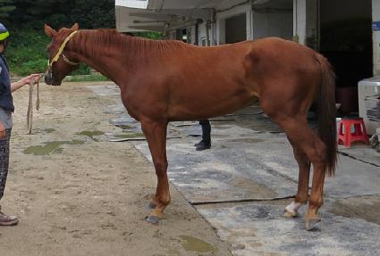 û�갡�� ����