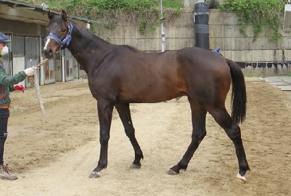 ���ž�� ����