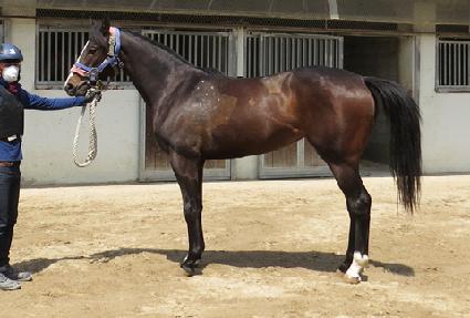 ����۽�Ʈ ����