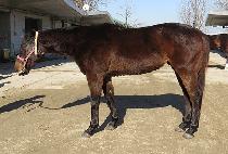 ��Ʈ��Ʈ���� (STREET GANGJA) ����