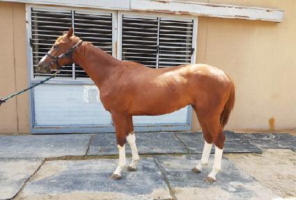 Ÿ�Ϳ���Ǯ ����