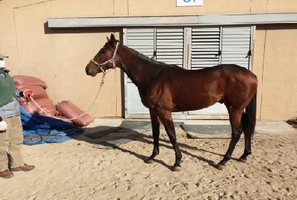 �Ϲٳ���� ����