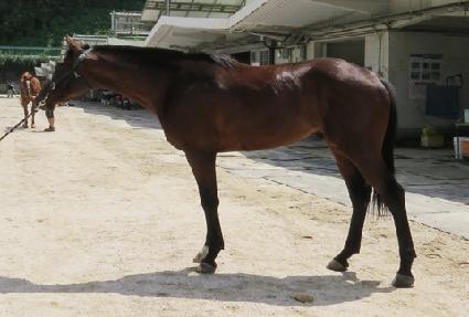 õ�� ����