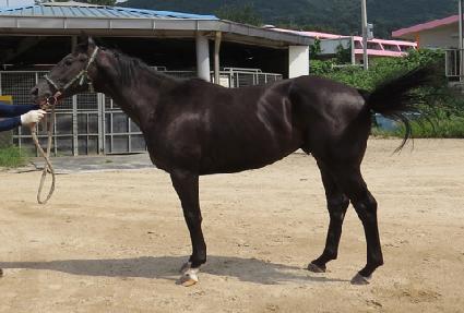 ����ŷ ����