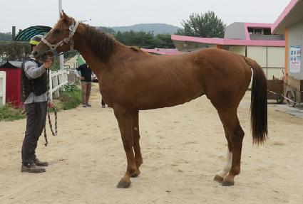 �ü����� ����