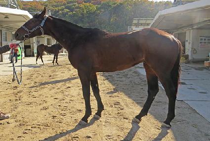 õ�� ����