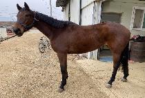 ���׳��� (ATHENA.P) ����