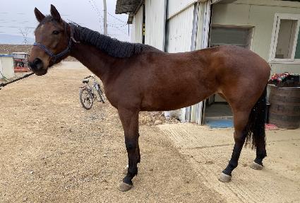 ���׳��� ����