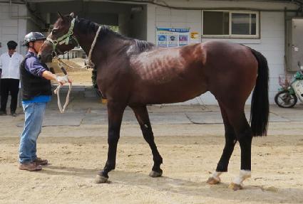 �Ӵϰ��� ����