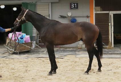 ��Ű���� ����