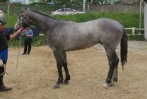 BAEKDUSAN CHEONJI picture