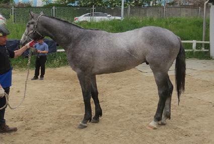 ��λ�õ�� ����