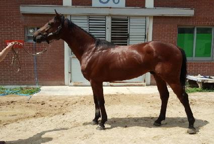 ������Ʈ�� ����