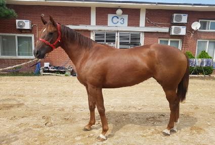 ĸ���� ����