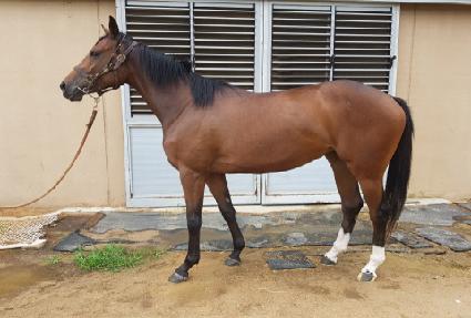 ���͸ƽ� ����