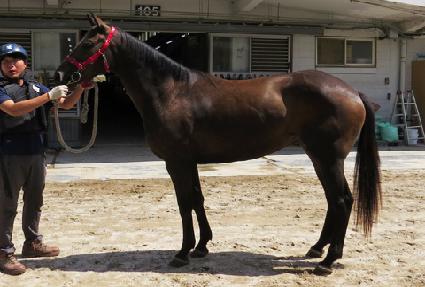 �ݼ���Ÿ ����