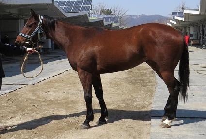 ��������Ű ����