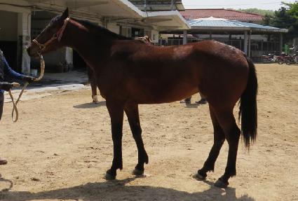 ����Ʈ����Ʈ ����