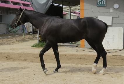 �з��Ͼ��Ŀ� ����