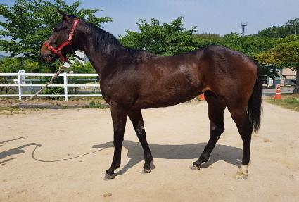 ����ī�� ����