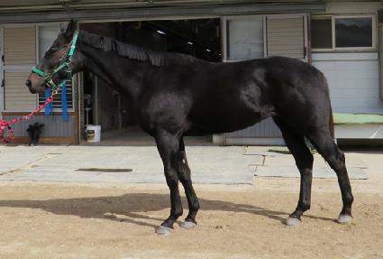 ����̶�º� ����