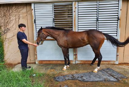 �巡��õ�� ����