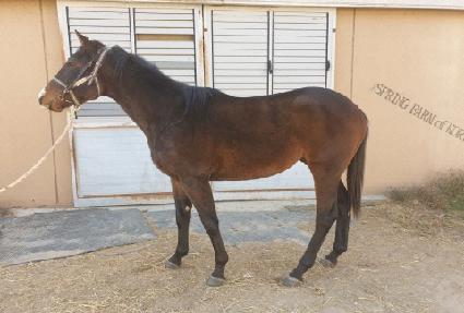 ����Ÿ�� ����