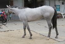 SANTTEUTHANSEUCHIM picture