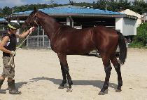 ���̿���ĸƾ (J.S. CAPTAIN) ����