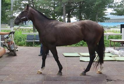 �ο�õ�� ����