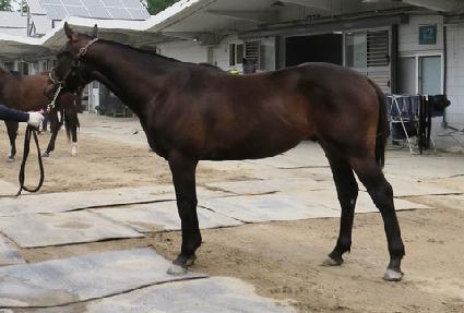 ��¶���Ʈ�� ����