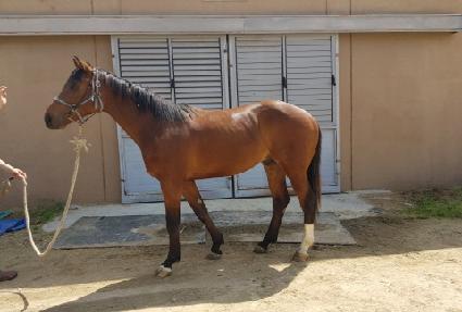 �ε����Ƽ ����