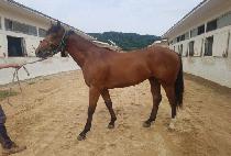 �ݾƱ�����Ʈ (GEUMA GOOD POINT) ����