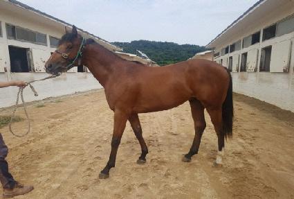 �ݾƱ�����Ʈ ����