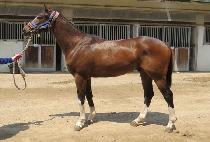 ��½��۸� (RAON SUPERMAN) ����